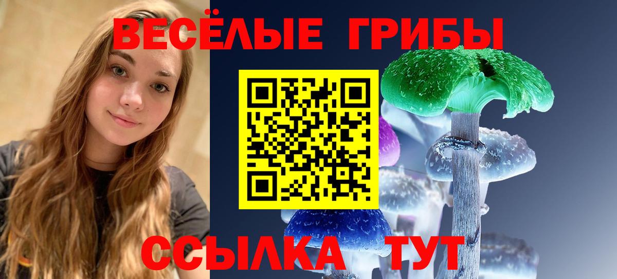 Псилоцибиновые грибы Psilocybine cubensis Щёлково