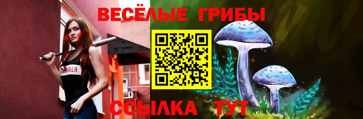 Галлюциногенные грибы прущие грибы  Вход с VPN  Щёлково  Псилоцибиновые грибы прущие грибы 
